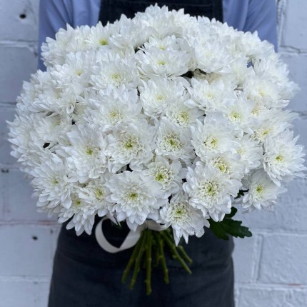 Белая кустовая хризантема - купить с доставкой в по Уфе